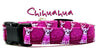 Chihuahua dog collar handmade adjustable buckle collar 1" or 5/8" wide or leash Petcollarshandmade