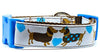 Dachshund dog collar handmade adjustable buckle collar 1" wide or leash Boy blue - Petcollarshandmades