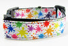 Splatter Paint dog collar handmade adjustable buckle collar 1" wide or leash - Petcollarshandmades