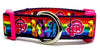 My Little Pony dog collar handmade adjustable buckle collar 1" wide or leash Petcollarshandmade