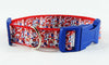 Raggedy Ann & Andy dog collar handmade adjustable buckle collar 1" wide or leash Petcollarshandmade