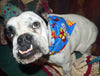Pink Ribbon Dog Bandana, Over the Collar dog bandana, Dog collar bandana puppy Petcollarshandmade
