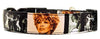 Tina Turner dog collar Handmade adjustable buckle 1"wide or leash Rock N Roll Petcollarshandmade