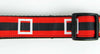 Christmas dog collar Santas belt handmade adjustable buckle collar 1"wide - Petcollarshandmades