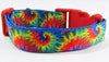 Rainbow Tie Dye dog collar handmade adjustable buckle 1" or 5/8" wide or leash Petcollarshandmade