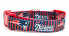 Patriots dog collar handmade adjustable buckle 5/8" wide or leash football Petcollarshandmade