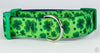 St. Pattys Day 4 leaf clover dog collar handmade adjustable buckle collar 1" wide Petcollarshandmade