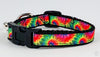 Rainbow Tie Dye cat or small dog collar 1/2" wide adjustable with bell or leash Petcollarshandmade