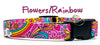Flowers/Rainbow dog collar handmade adjustable buckle collar 5/8" wide narrow Petcollarshandmade