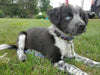 Fire Dept. Key Fob Wristlet Keychain 1 1/4"wide Zipper pull Camera strap - Petcollarshandmades