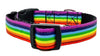 Rainbow Pride dog collar handmade adjustable buckle collar 5/8" wide or leash Petcollarshandmade