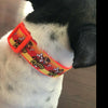 Dachshund Key Fob Wristlet Keychain 1"wide Zipper pull Camera strap handmade - Petcollarshandmades