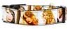 Taylor Swift dog collar Handmade adjustable buckle 1"wide or leash Country Pop Petcollarshandmade