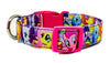 My Little Pony dog collar handmade adjustable buckle collar 5/8" wide or leash Petcollarshandmade