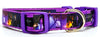 Rock Star dog collar handmade adjustable buckle collar 5/8" wide or leash Petcollarshandmade