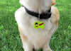 Freddy Krueger dog collar handmade adjustable buckle 1" or 5/8" wide or leash Petcollarshandmade
