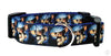 Gizmo/Gremlins dog collar handmade adjustable buckle 1" or 5/8" wide or leash Petcollarshandmade