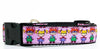 Rugrats dog collar handmade adjustable buckle collar 1" wide or leash pink Petcollarshandmade