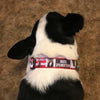 Eminem dog collar Handmade adjustable buckle 1" wide or leash Rap music Petcollarshandmade